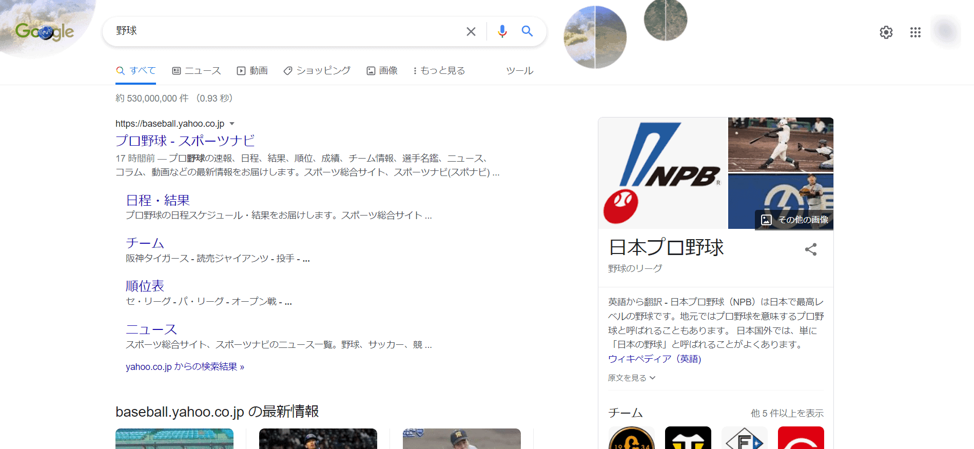 日本での検索結果
